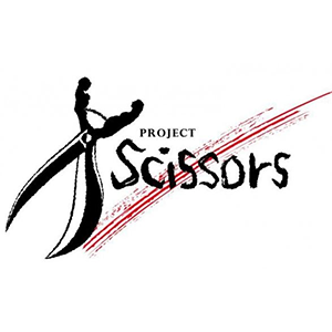 Annunciato ufficialmente Project Scissors