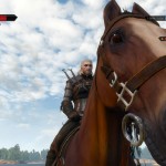 the-witcher-3-wild-hunt-ps4-16-05-11
